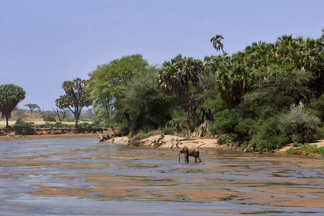 5-Day Selous & Mikumi
