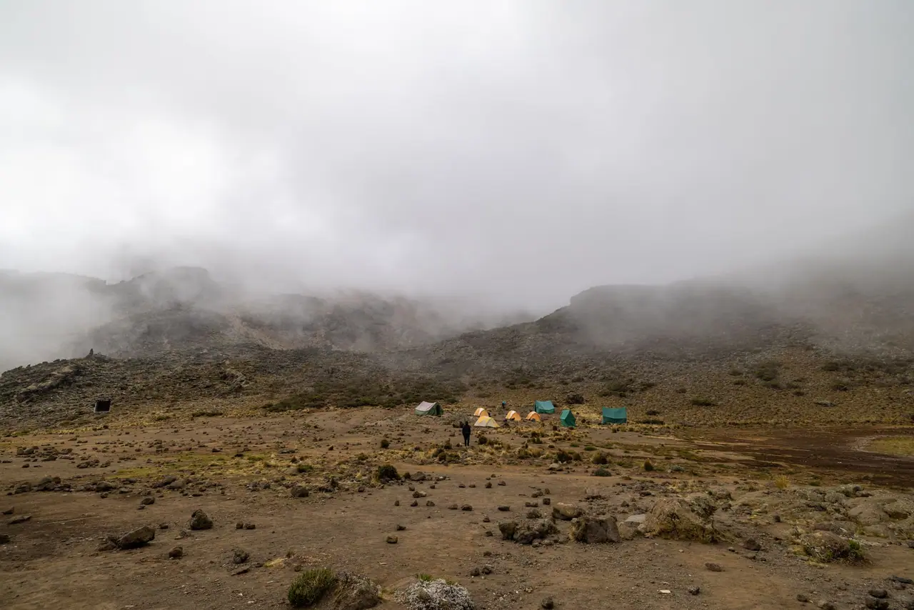 8 Days Kilimanjaro Lemosho Route